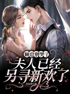 顾总别追了夫人已经和你离婚了